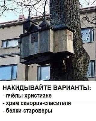 Тот самый случай, когда один мем тянет за собой ещё десять