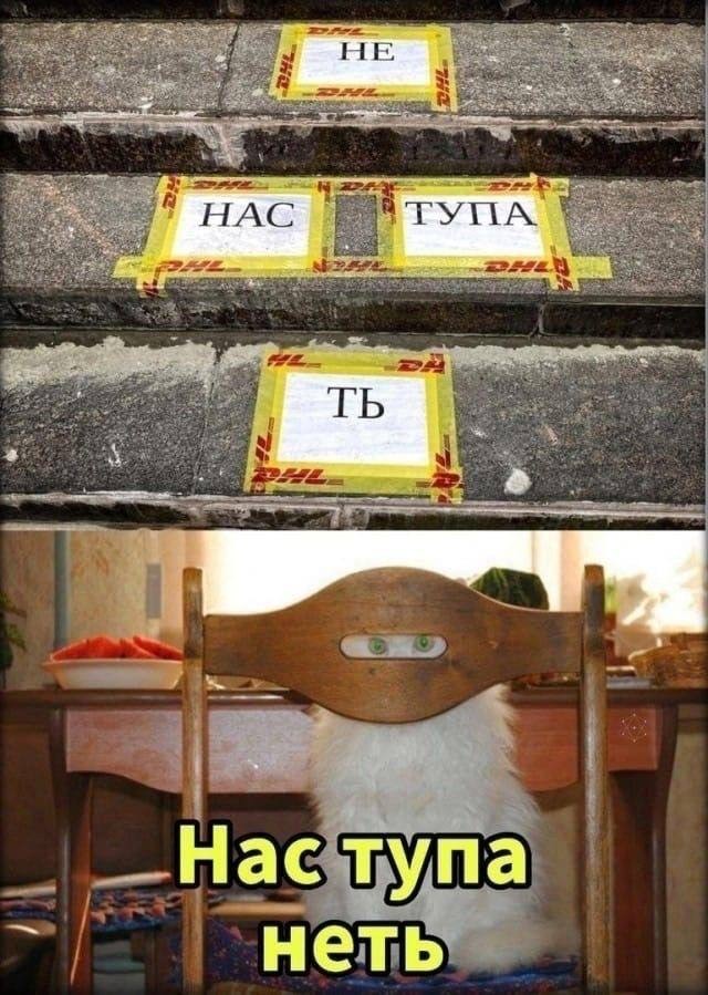 Работа работой, а мемы по расписанию