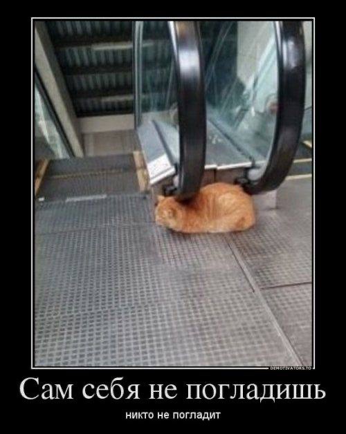 Взрослая жизнь без прикрас: мемы, знакомые каждому