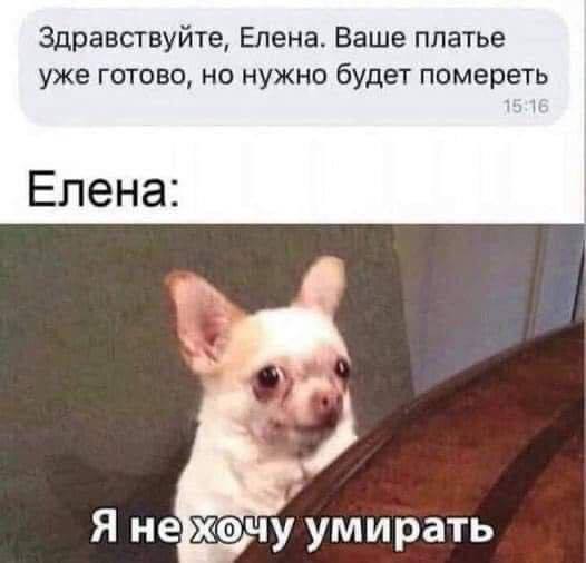 Пятнадцать поводов отвлечься и немного посмеяться