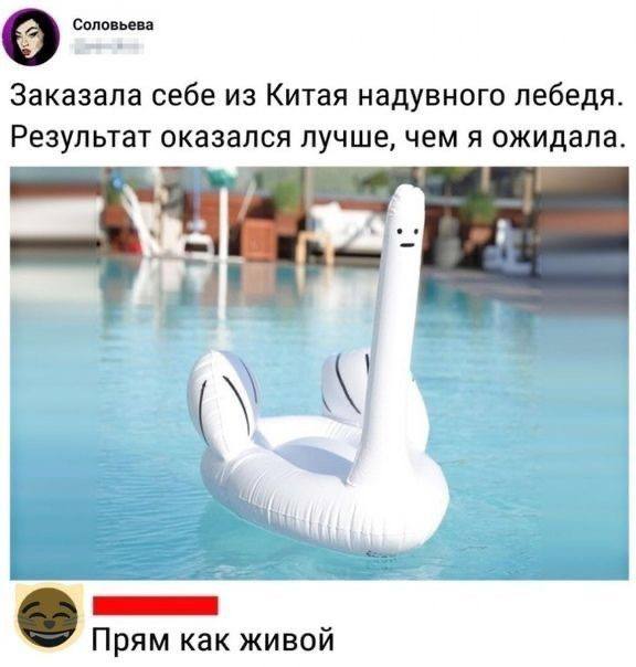 Интернет снова сделал всё немного смешнее