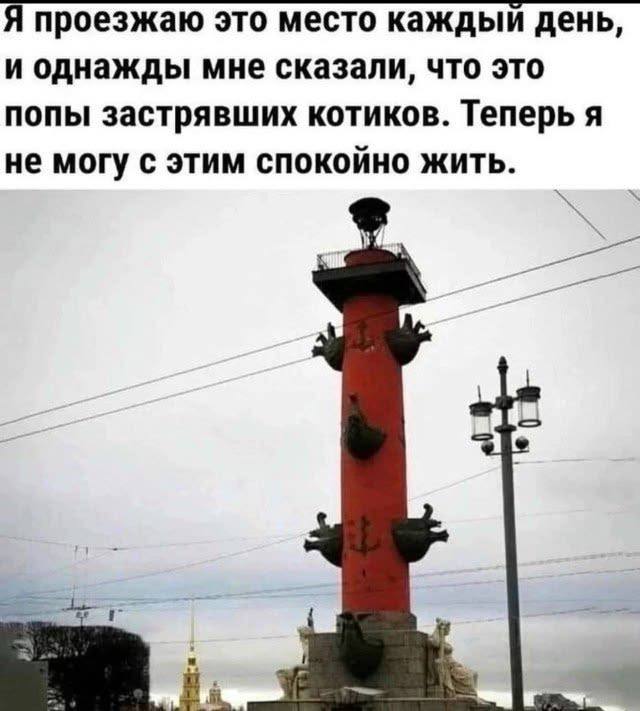 Когда жизнь сама подкидывает сюжеты для мемов