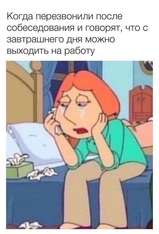Вот ради чего стоило открыть интернет сегодня