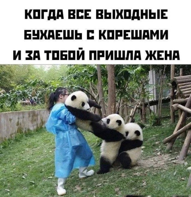 Серьёзные разговоры подождут, сейчас время мемов