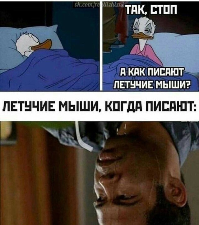 Тут есть всё: от жизненного кринжа до абсурда