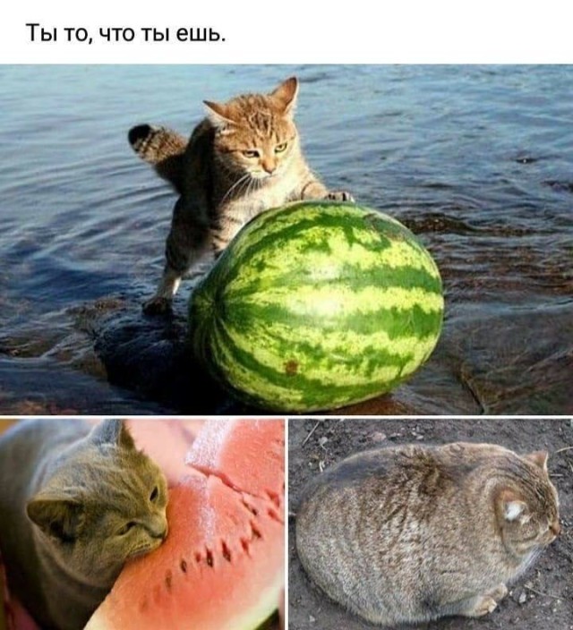 Когда обычный день внезапно становится очень смешным