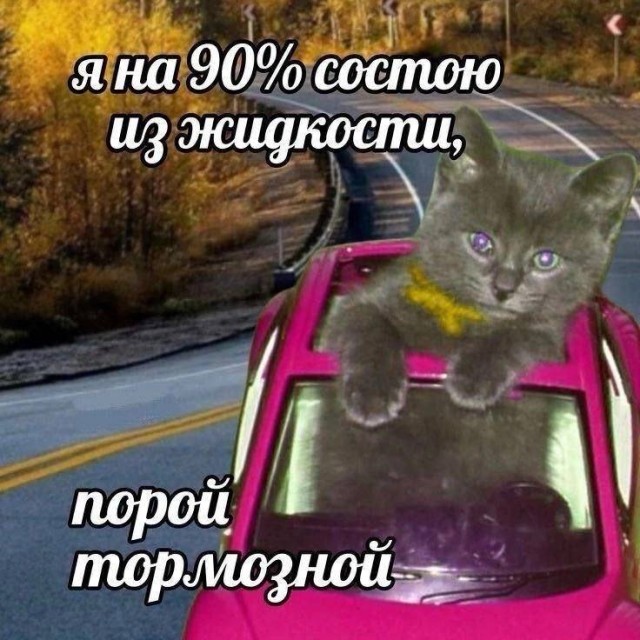 15 картинок, которые поймут все без лишних слов