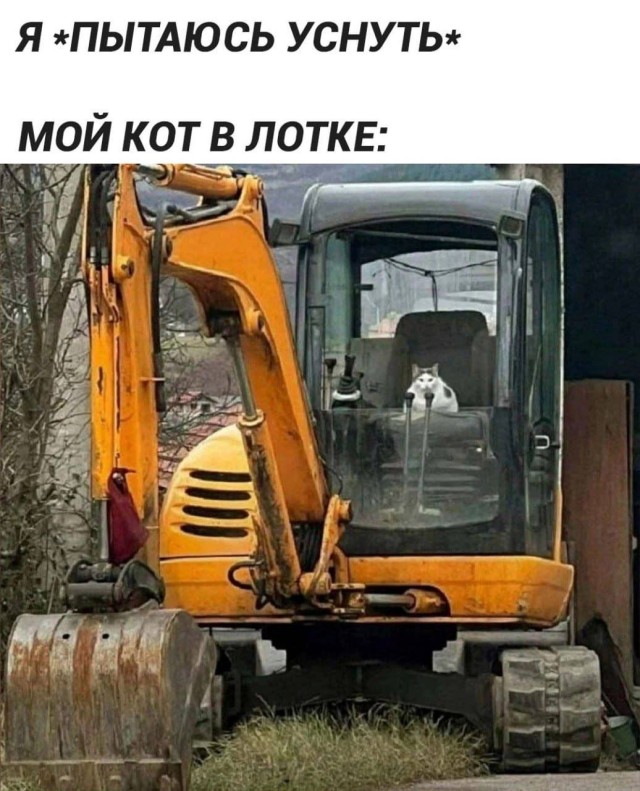 15 забавных моментов, мимо которых сложно пройти