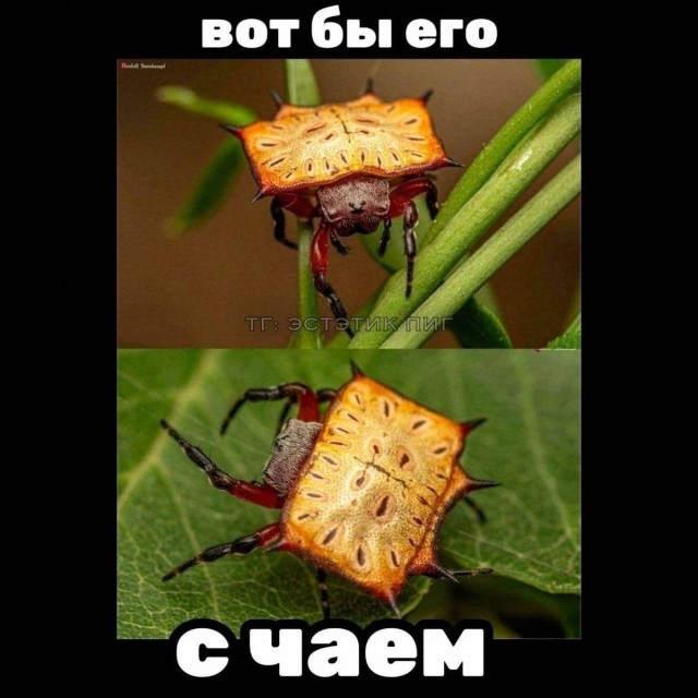 Обычные ситуации, которые неожиданно становятся смешными
