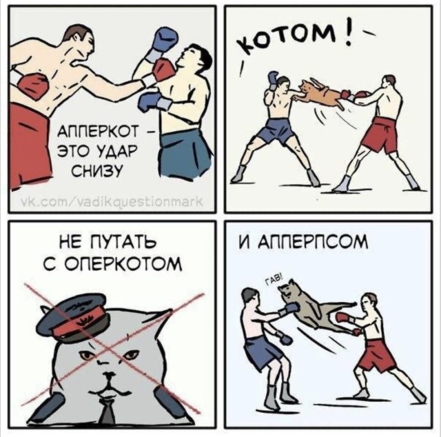 15 смешных картинок для короткого и приятного отдыха