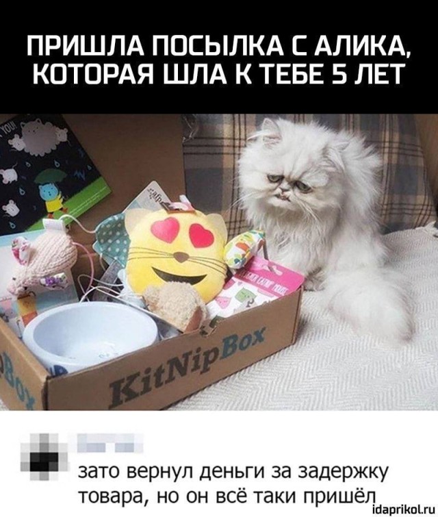 Мемы без правил: немного жизненно, немного странно, смешно