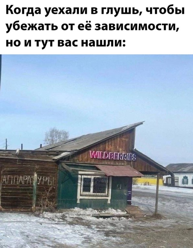 Мемы, в которых жизнь узнает себя