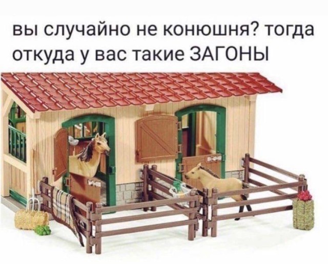 Взрослая жизнь без прикрас: мемы, знакомые каждому