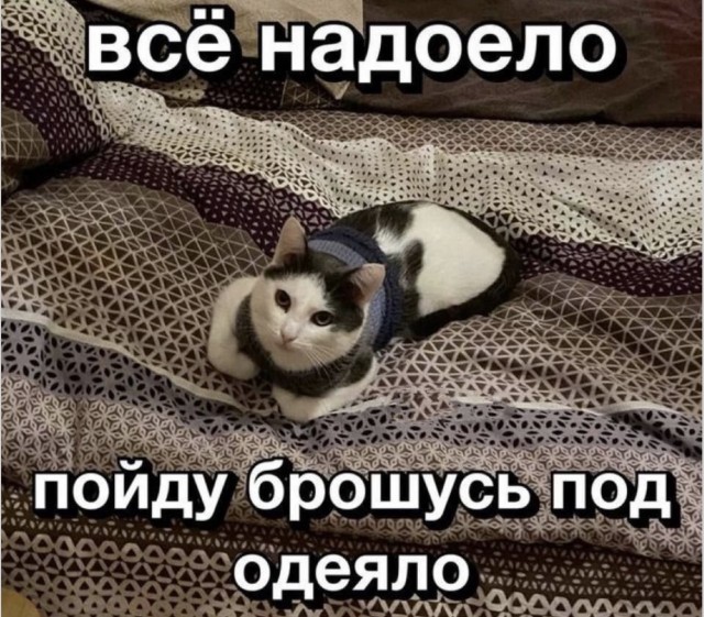 Вот это жизнь: мемы, в которых мы все бывали