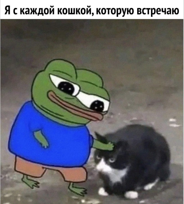 Когда жизнь сама становится готовым мемом