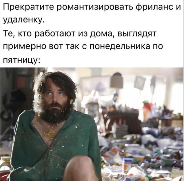 Коты снова всё поняли по-своему — и это прекрасно