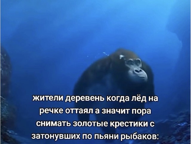 Любовь, быт и переписки: мемы без лишних объяснений
