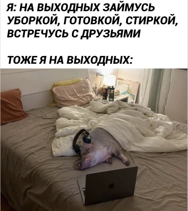 Настоящая дружба — это когда есть мем на любой случай