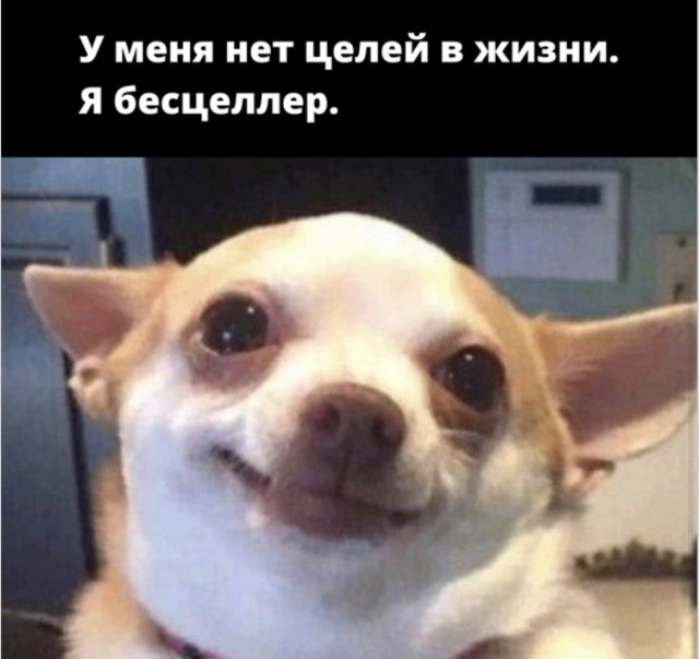 Понедельник бывает разным, но мемы всегда спасают