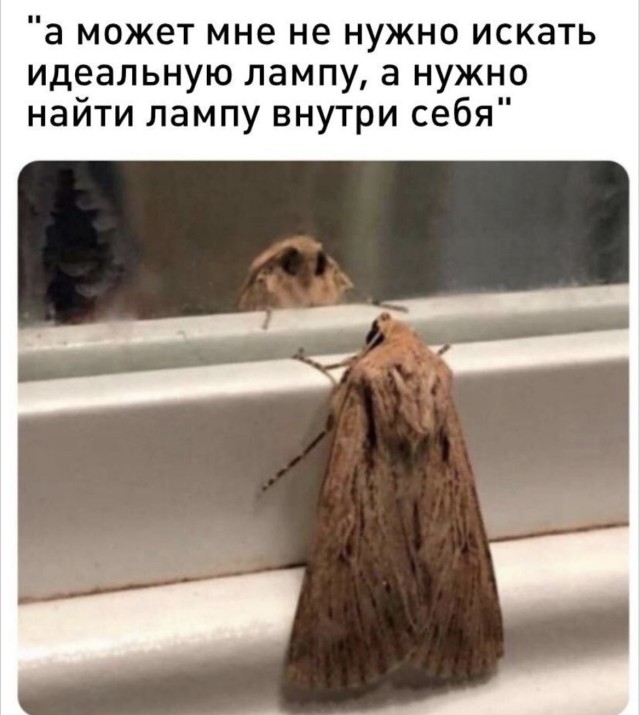 Зашёл за одной вещью, вышел с пакетом: классика