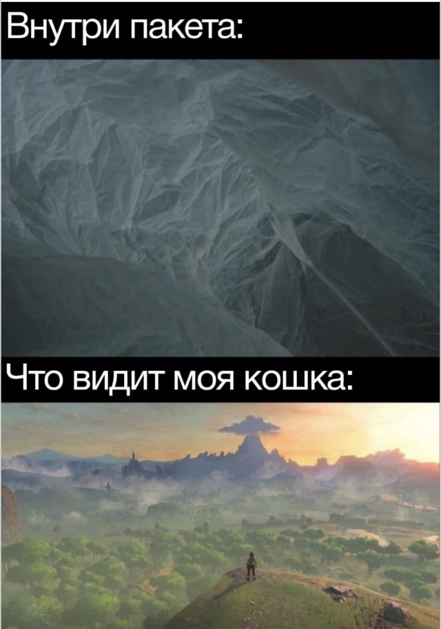 Лень сегодня тоже работает — просто удалённо