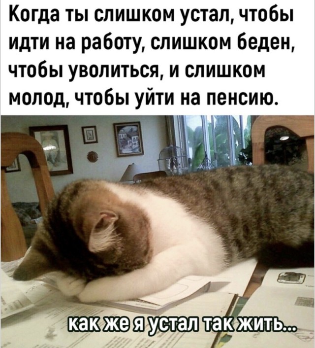 Утро начинается не с кофе, а с попытки встать