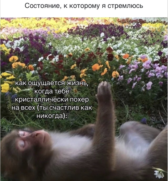 15 мемов для тех, кто любит посмеяться над жизнью