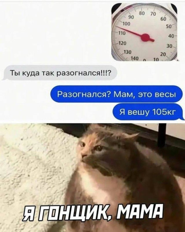 Официальная пауза на смешные картинки