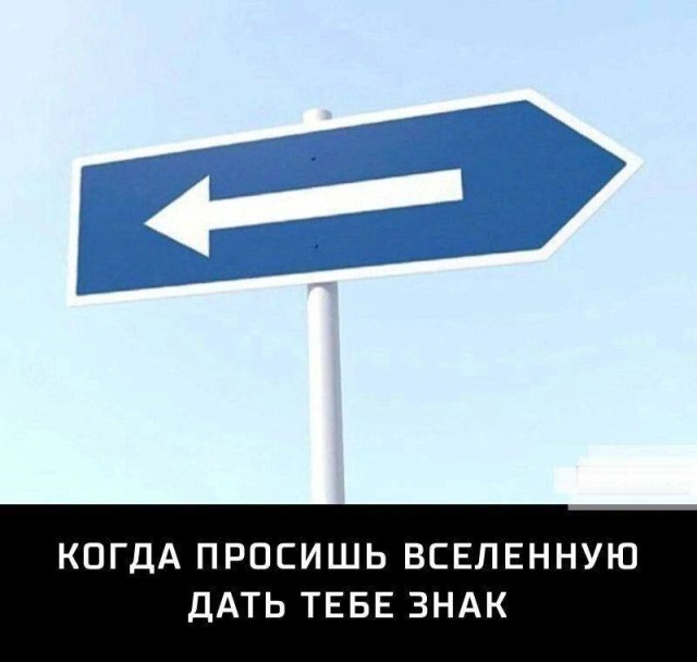 Когда обычный день внезапно становится мемом