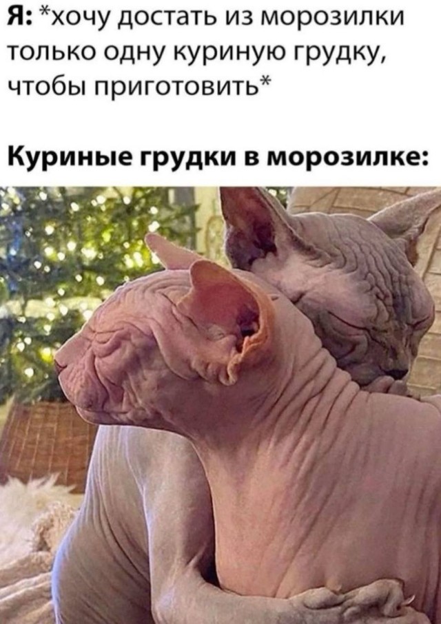 Вот ради чего стоило открыть интернет сегодня