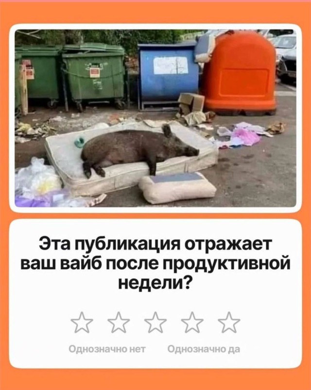 Когда жизнь сама подкидывает сюжеты для мемов