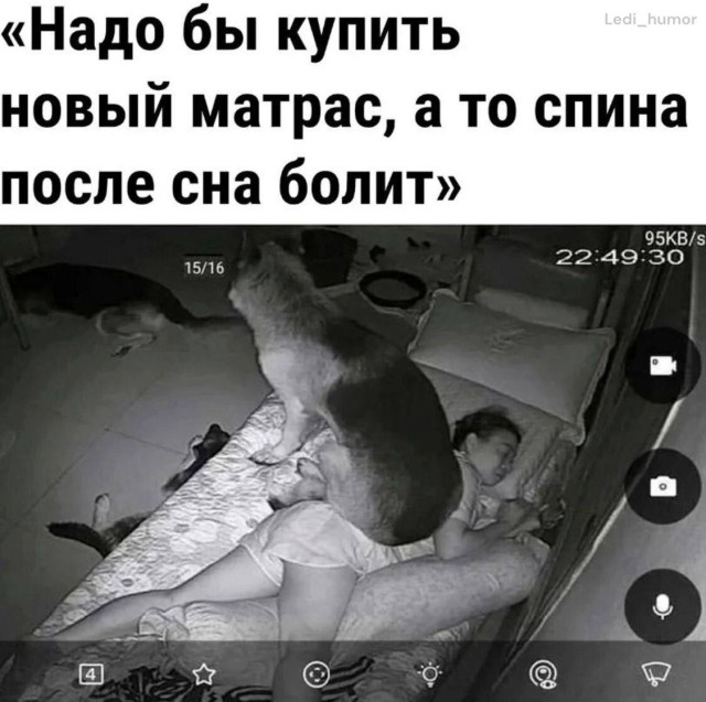 Тот самый интернет-юмор, который попадает в точку
