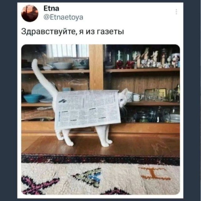 Мемы, в которых слишком легко узнать себя