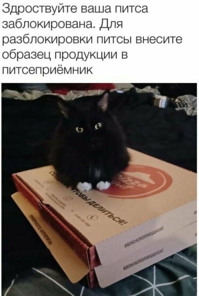 Интернет снова сделал всё немного смешнее