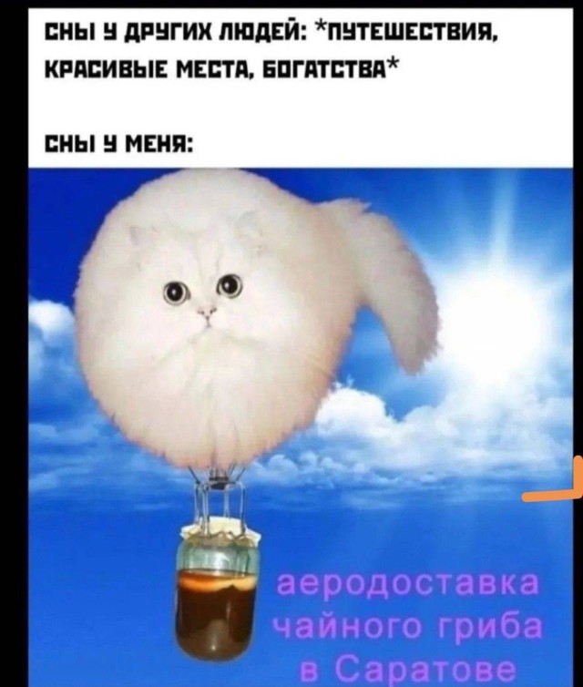 Увидел смешное — сразу понял, кому это отправить