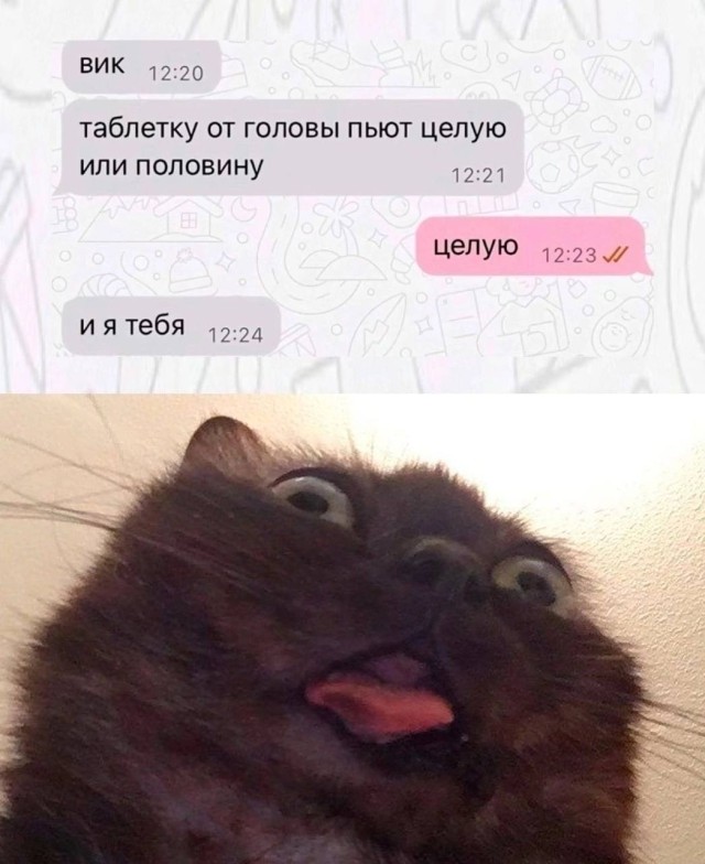 Некоторые шутки объяснять просто бессмысленно