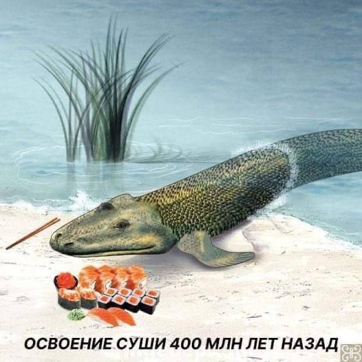 Весёлый беспорядок из мемов и неожиданных приколов