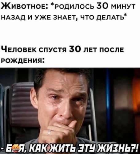 Смешные картинки, от которых трудно не улыбнуться