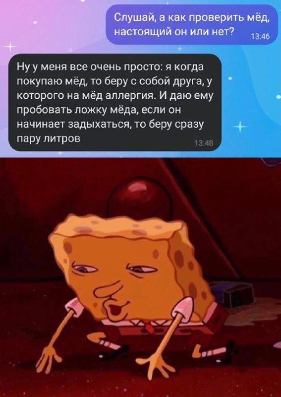 Немного хаоса, немного смеха и много узнаваемого