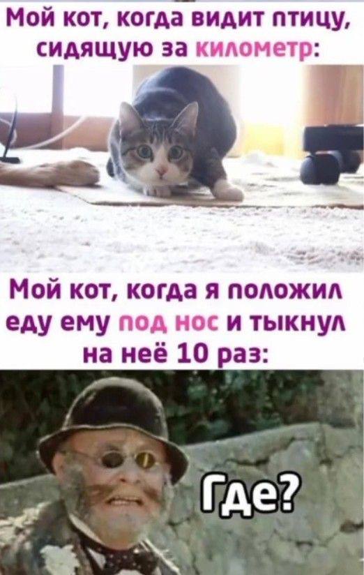 Общей темы нет — и в этом весь прикол