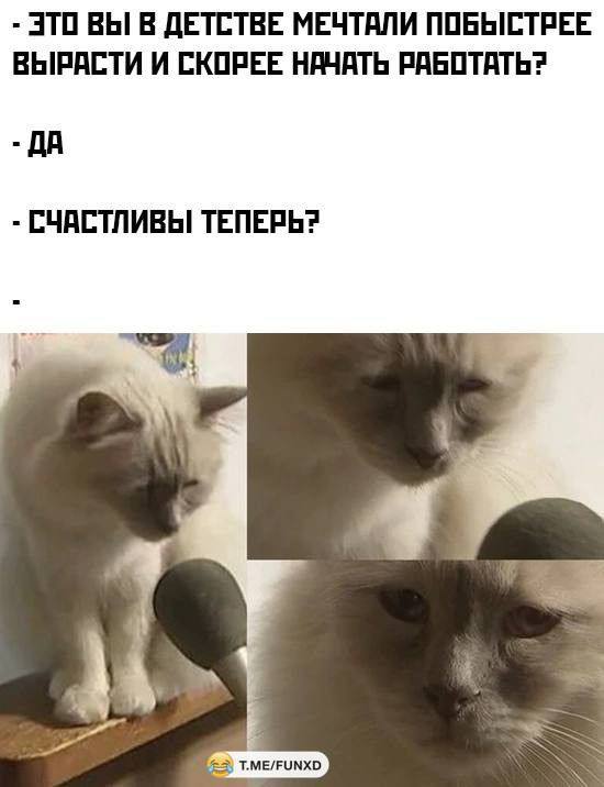 Когда хочется посмеяться, а повода и не нужно