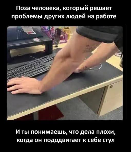 Серьёзные дела подождут, сейчас время мемов
