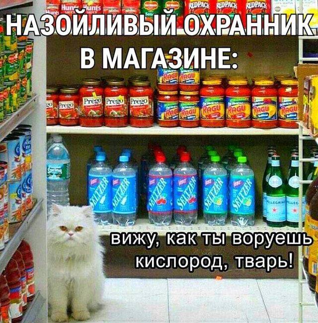 Тот самый мем, который идеально описывает друга