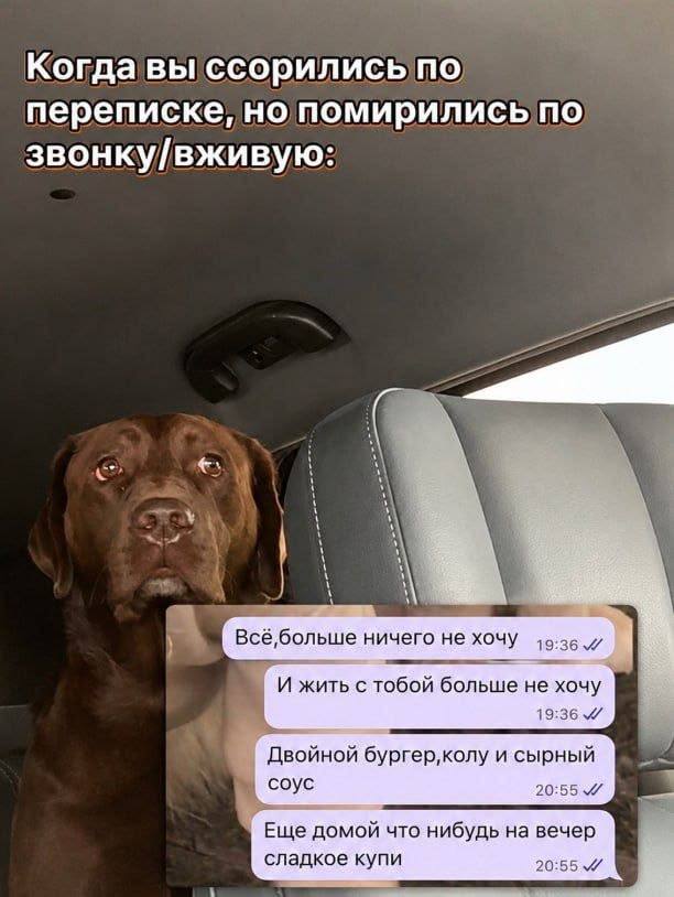Когда интернет снова радует неожиданными шутками