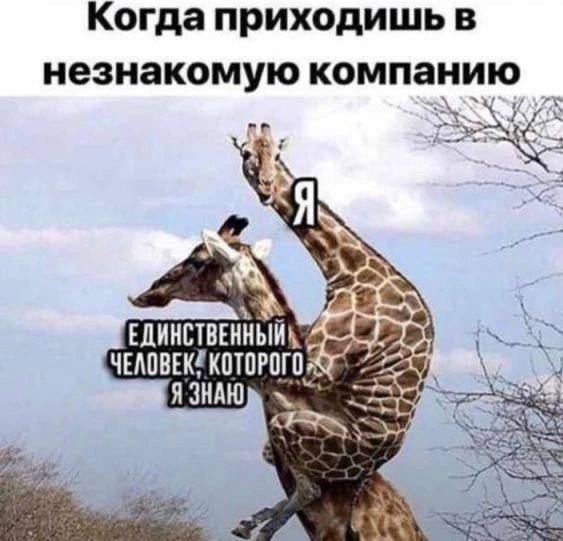 Смешные картинки, которые делают будни интереснее