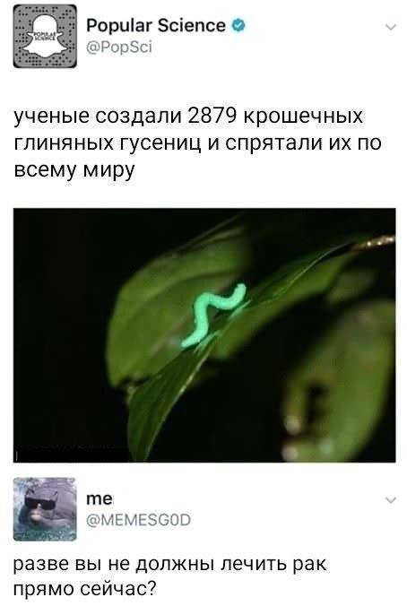 Случайный юмор, который неожиданно попадает в точку