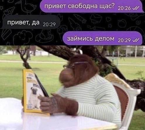 Когда интернет снова доказывает, что юмор повсюду