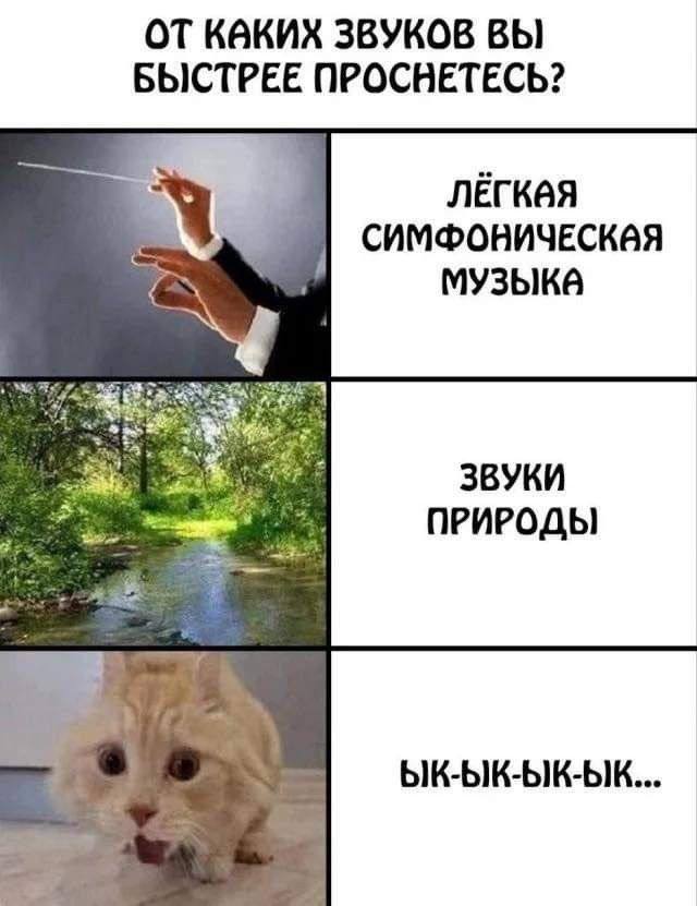 Увидел мем — сразу понял, кому его отправить