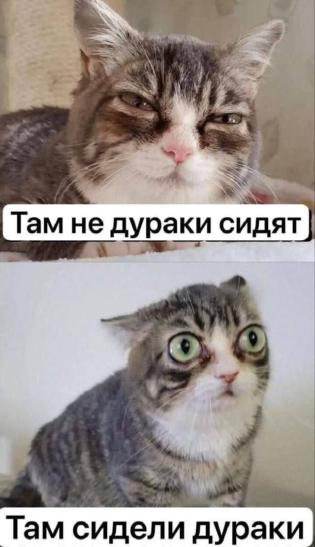 Смешные мемы без особого повода и лишних объяснений