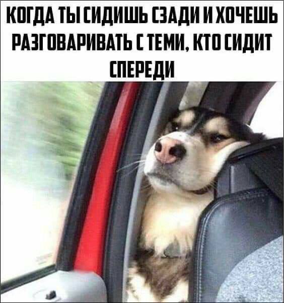 Юмор из интернета, который не требует объяснений